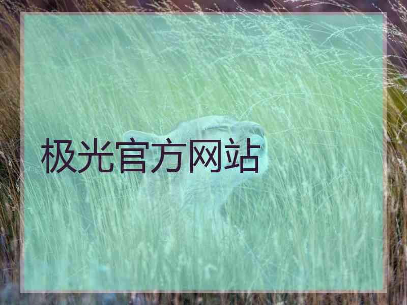 极光官方网站