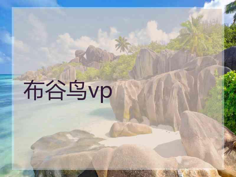 布谷鸟vp