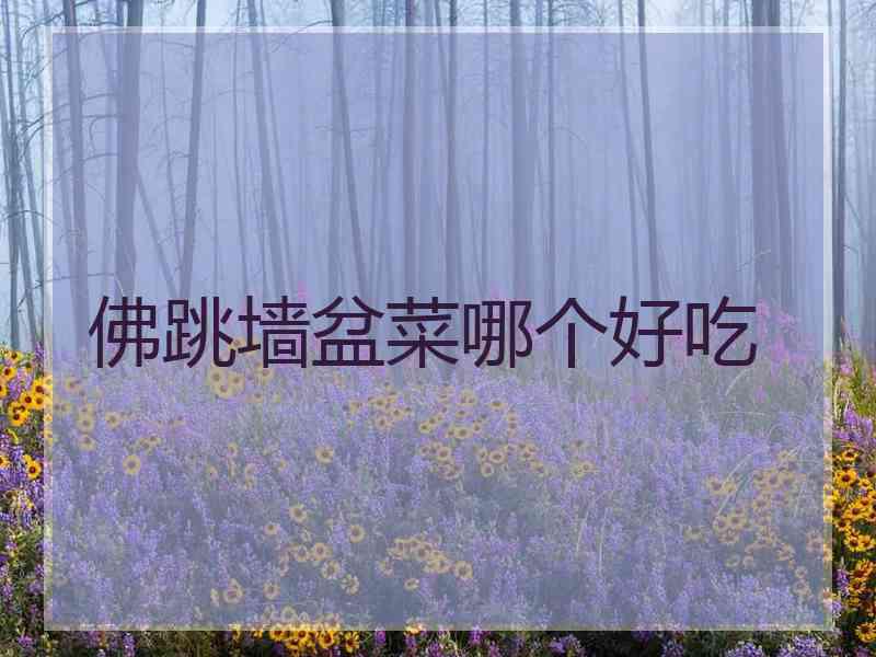 佛跳墙盆菜哪个好吃