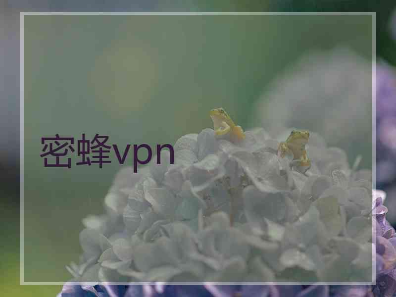 密蜂vpn