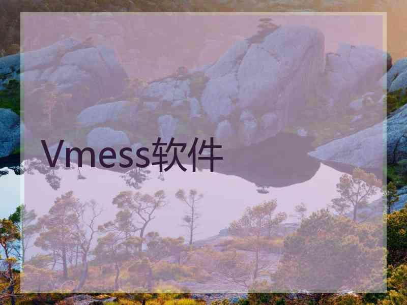 Vmess软件