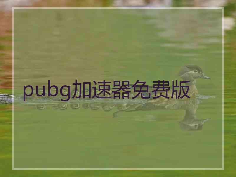 pubg加速器免费版