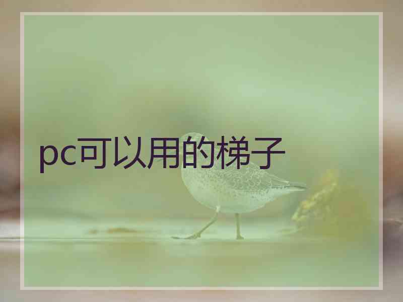 pc可以用的梯子