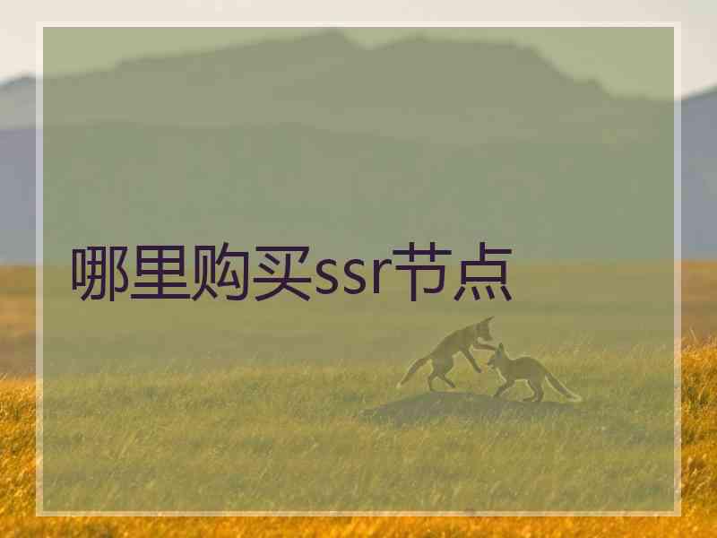 哪里购买ssr节点