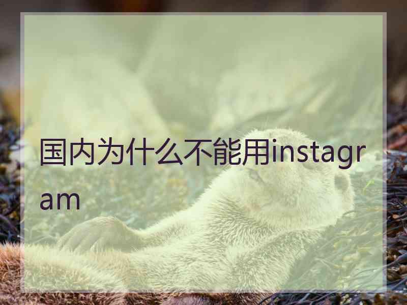 国内为什么不能用instagram