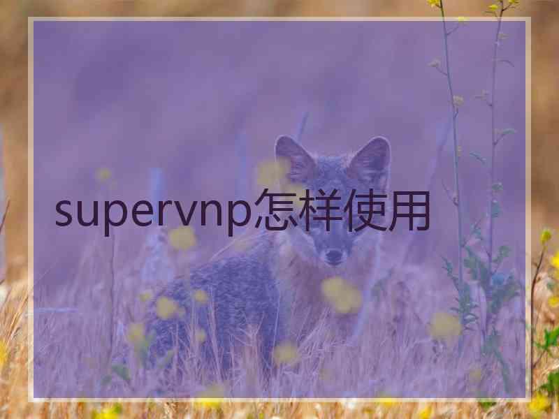 supervnp怎样使用