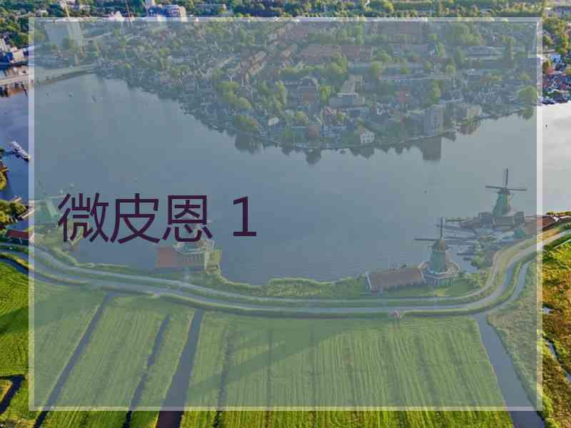 微皮恩 1