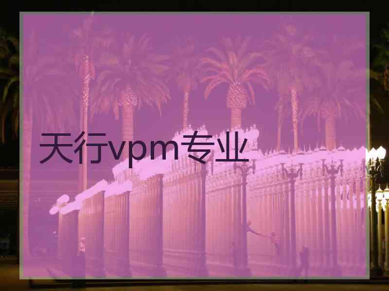 天行vpm专业