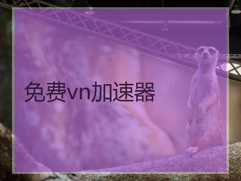 免费vn加速器