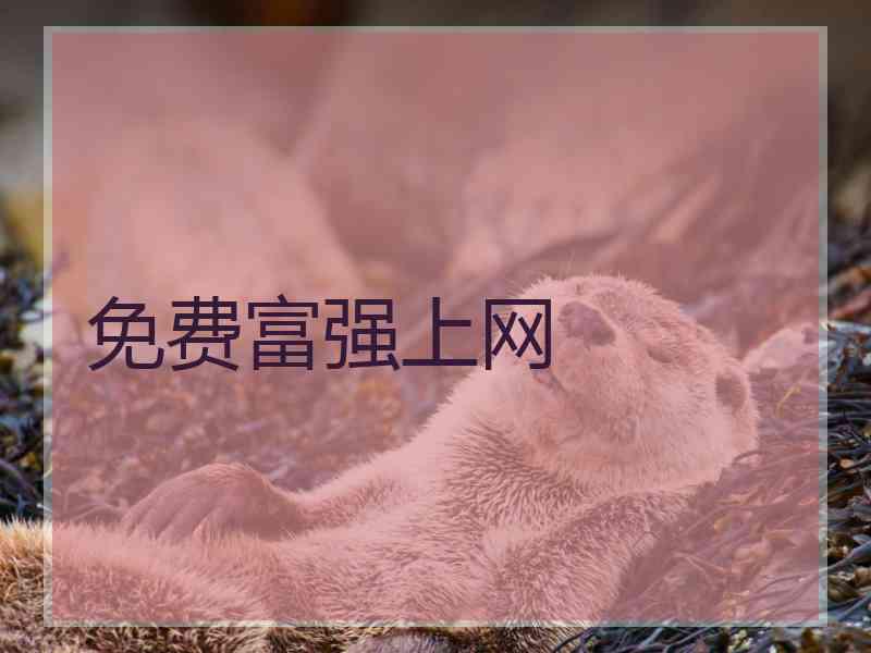免费富强上网