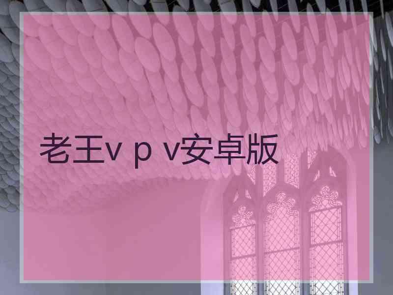 老王v p v安卓版