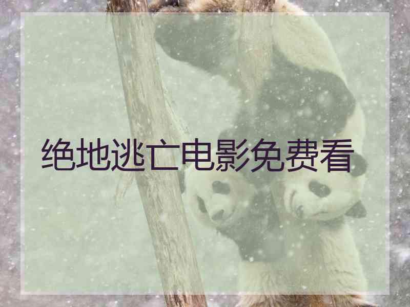 绝地逃亡电影免费看