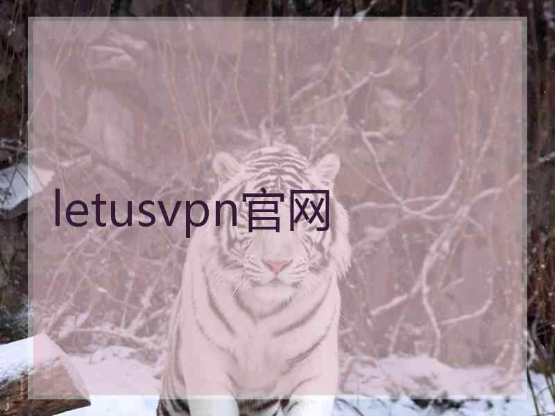 letusvpn官网