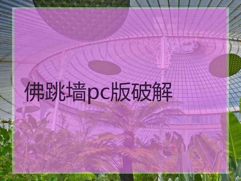 佛跳墙pc版破解