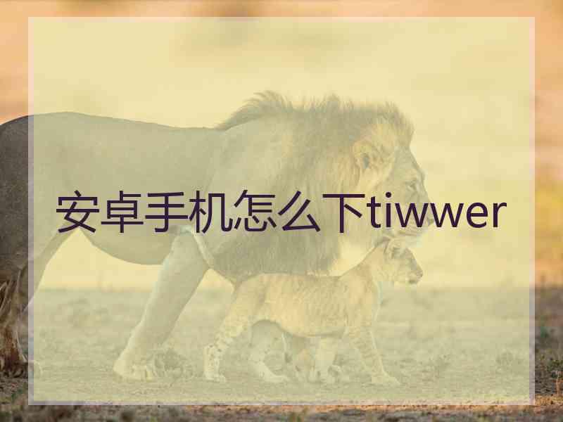 安卓手机怎么下tiwwer