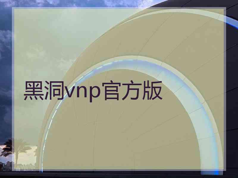 黑洞vnp官方版