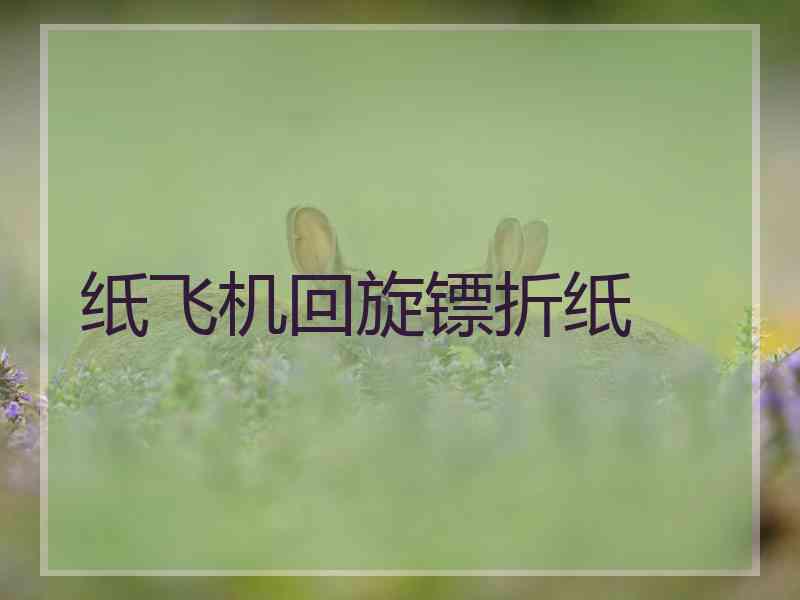 纸飞机回旋镖折纸