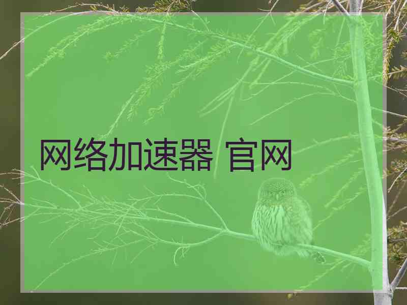 网络加速器 官网