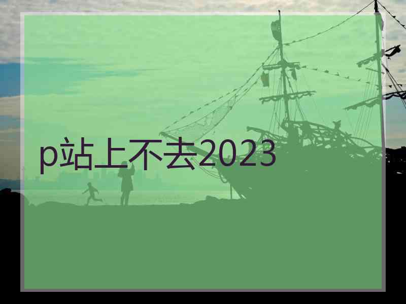 p站上不去2023