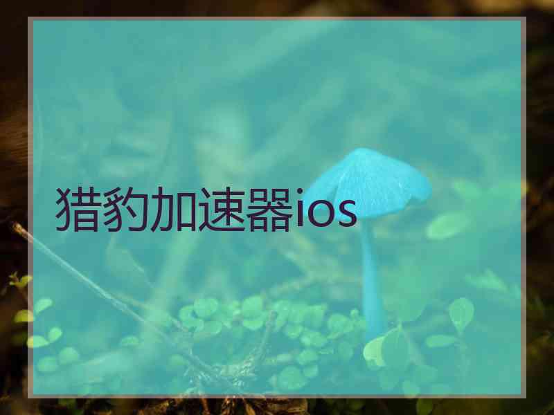 猎豹加速器ios