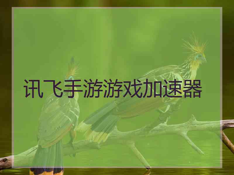 讯飞手游游戏加速器