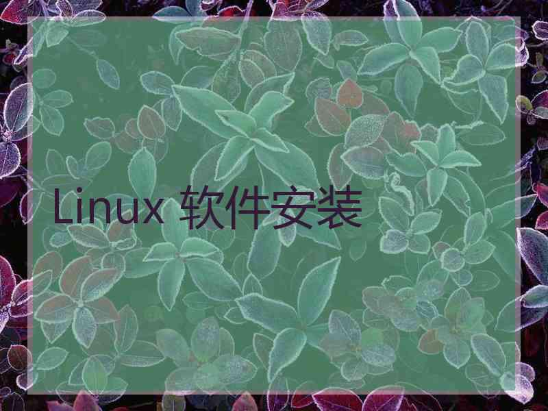 Linux 软件安装