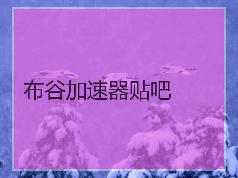 布谷加速器贴吧