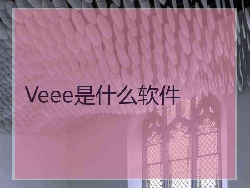 Veee是什么软件