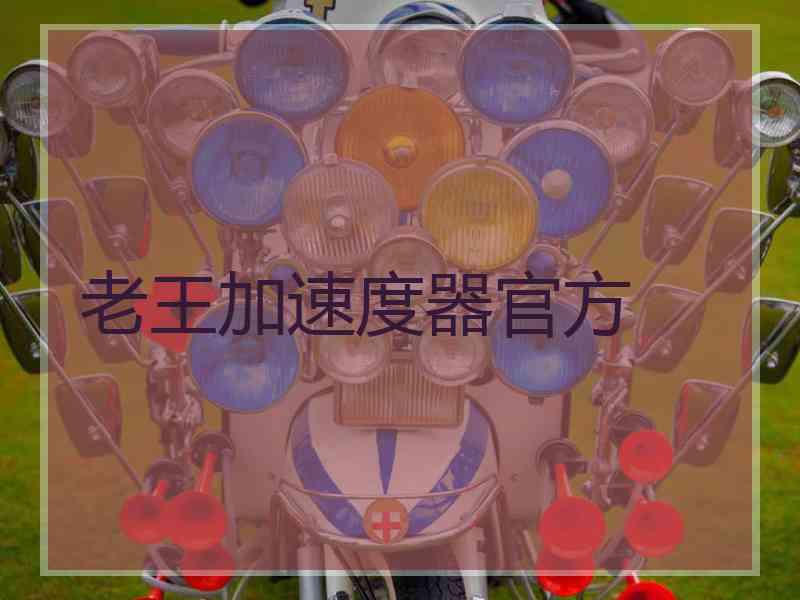 老王加速度器官方