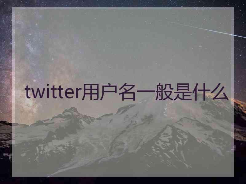 twitter用户名一般是什么