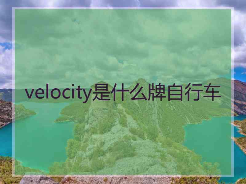 velocity是什么牌自行车