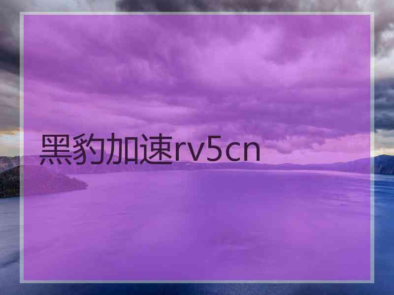 黑豹加速rv5cn