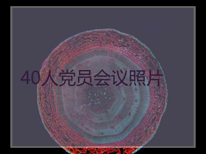 40人党员会议照片