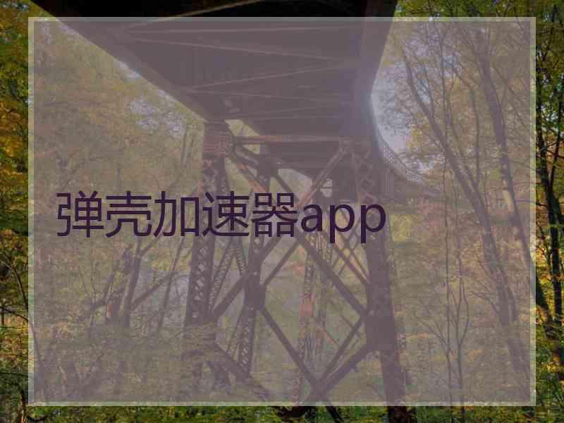 弹壳加速器app