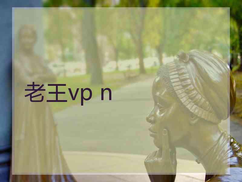 老王vp n