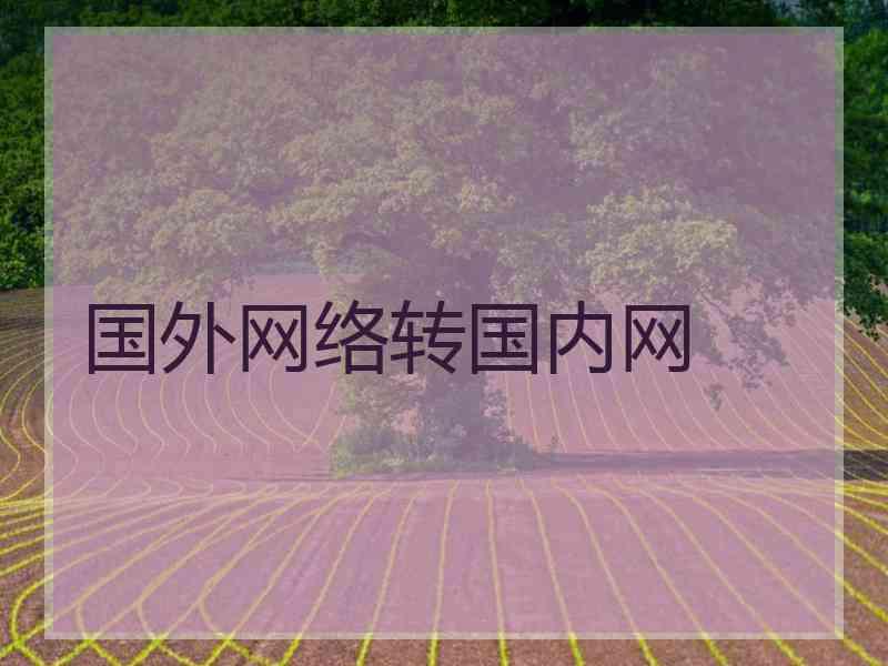 国外网络转国内网