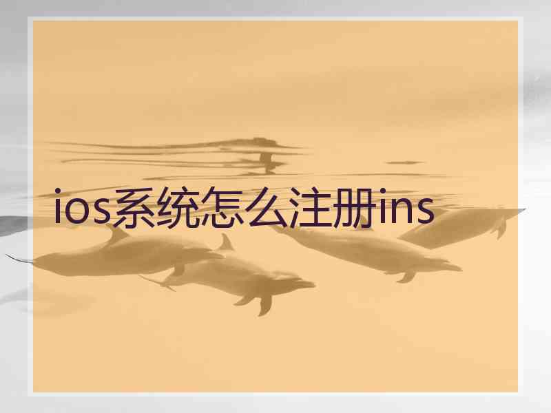 ios系统怎么注册ins