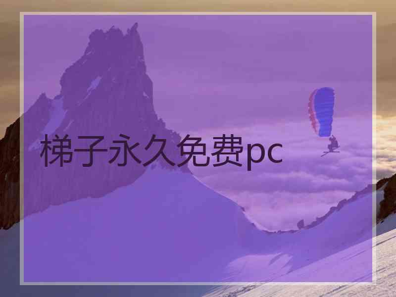 梯子永久免费pc
