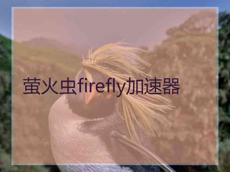 萤火虫firefly加速器