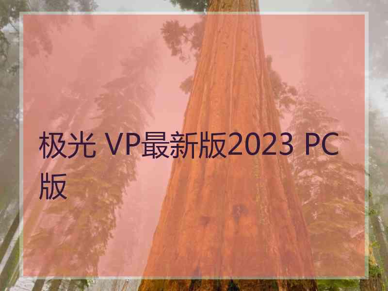 极光 VP最新版2023 PC版