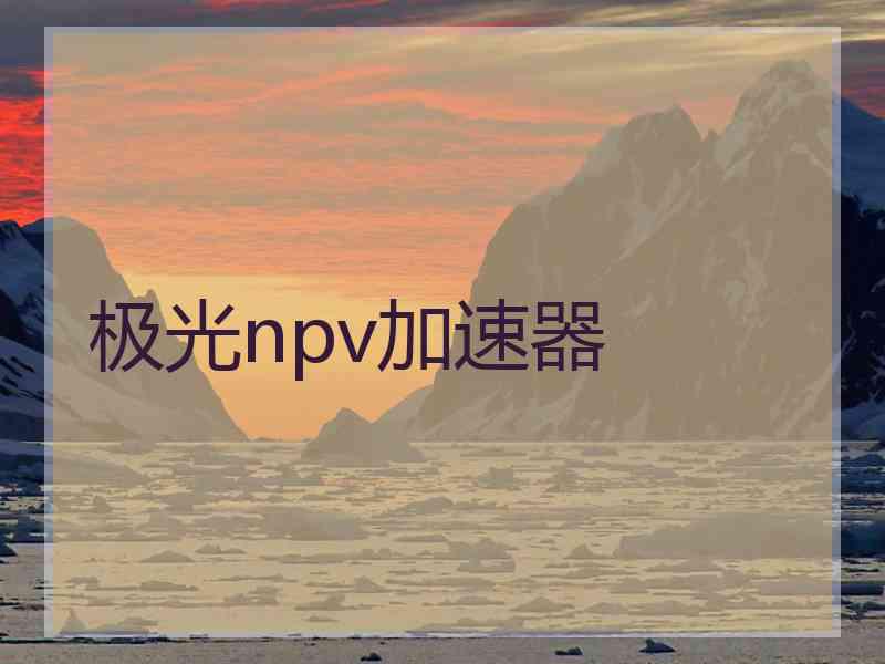 极光npv加速器