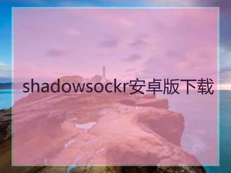 shadowsockr安卓版下载