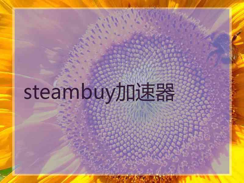 steambuy加速器